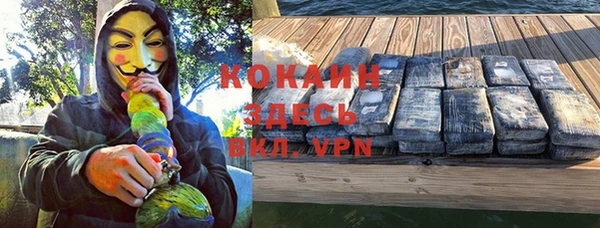 гидра Алексин
