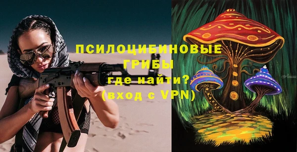 гидра Алексин