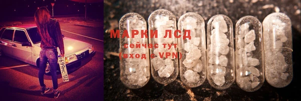 гидра Алексин