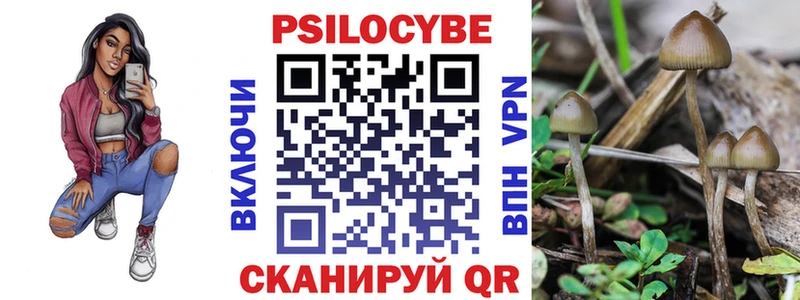 Галлюциногенные грибы Cubensis Заволжск